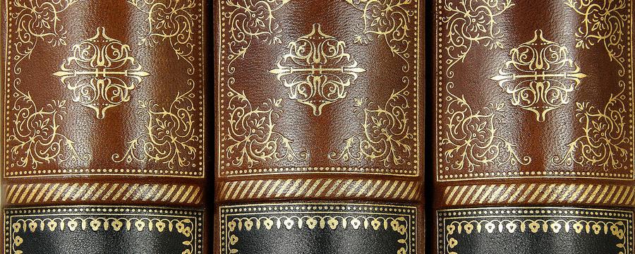 Buchrücken Leder Dekor-Paneele Buch Optik