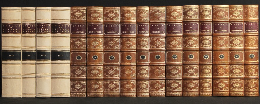 Buchrücken Leder Dekor-Paneele Buch Optik