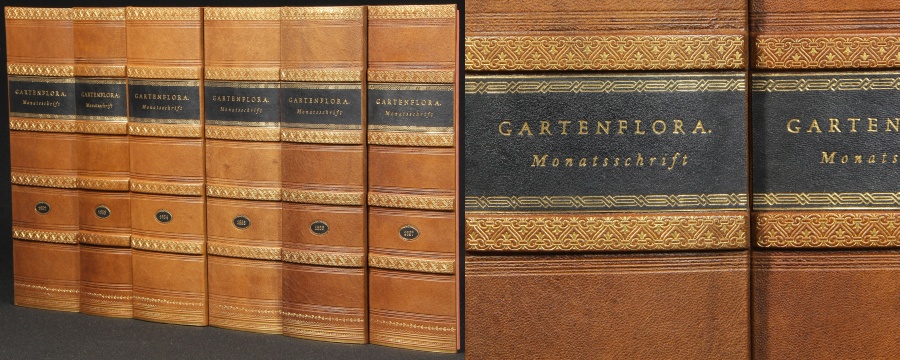 Buchrücken Leder Dekor-Paneele Buch Optik