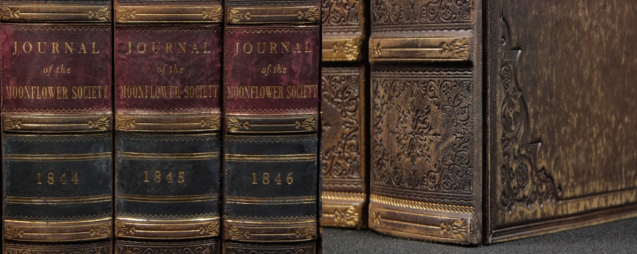 Buchrücken Buchattrappen - Beispiel