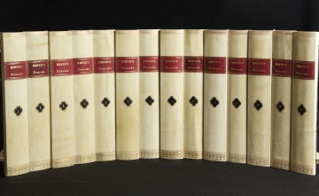 Book Spines old faux bookcase