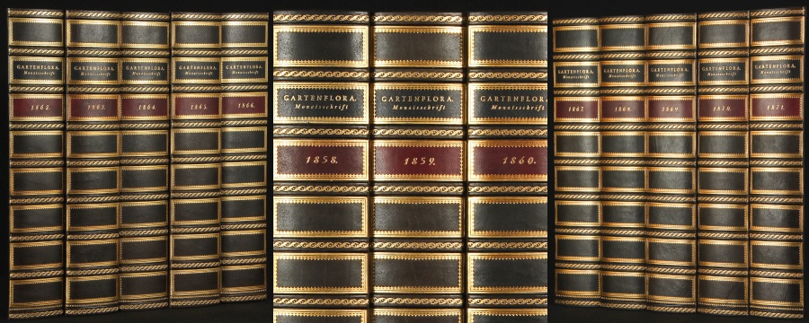 Buchrücken Buchattrappen - Beispiel