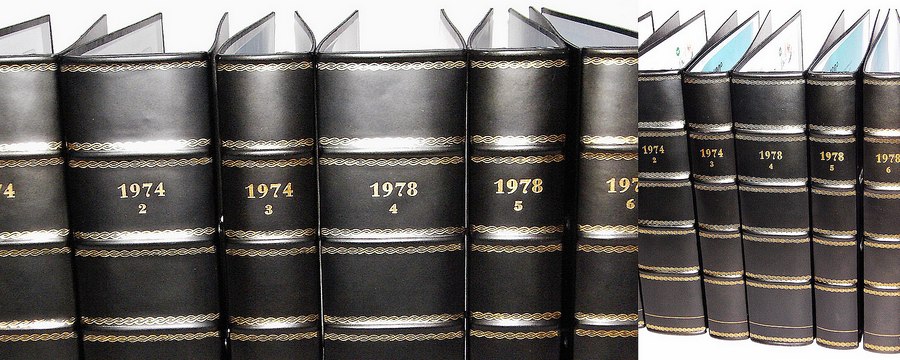 Leder Buchrücken Stehsammler Stehordner mit Prägung