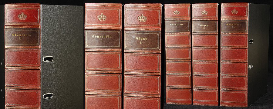 Leder Buchrücken Stehsammler Stehordner mit Prägung