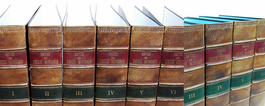 Leder Buchrücken Stehsammler Stehordner mit Prägung