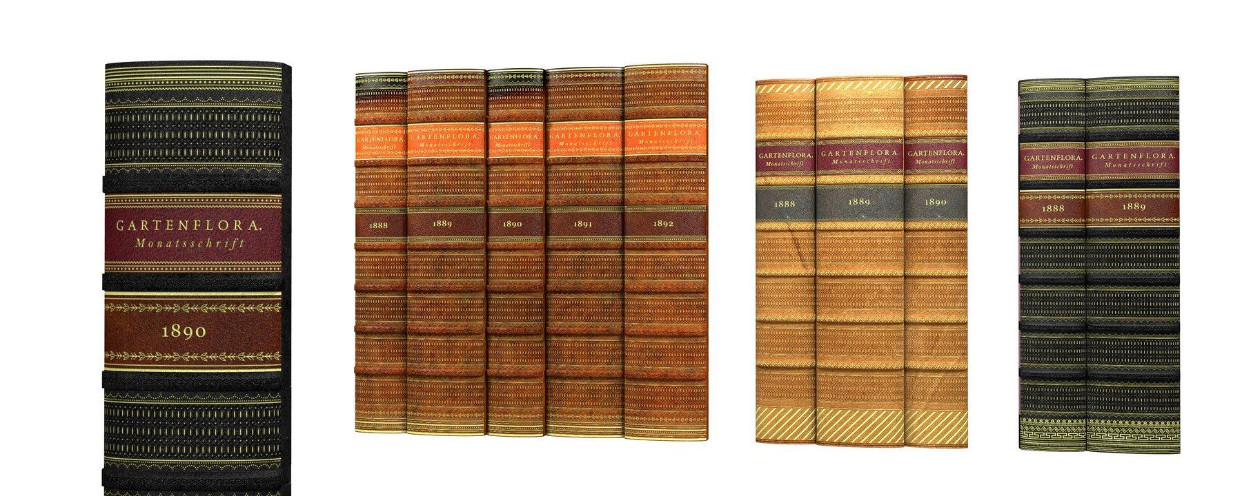 Buchrücken aus Leder