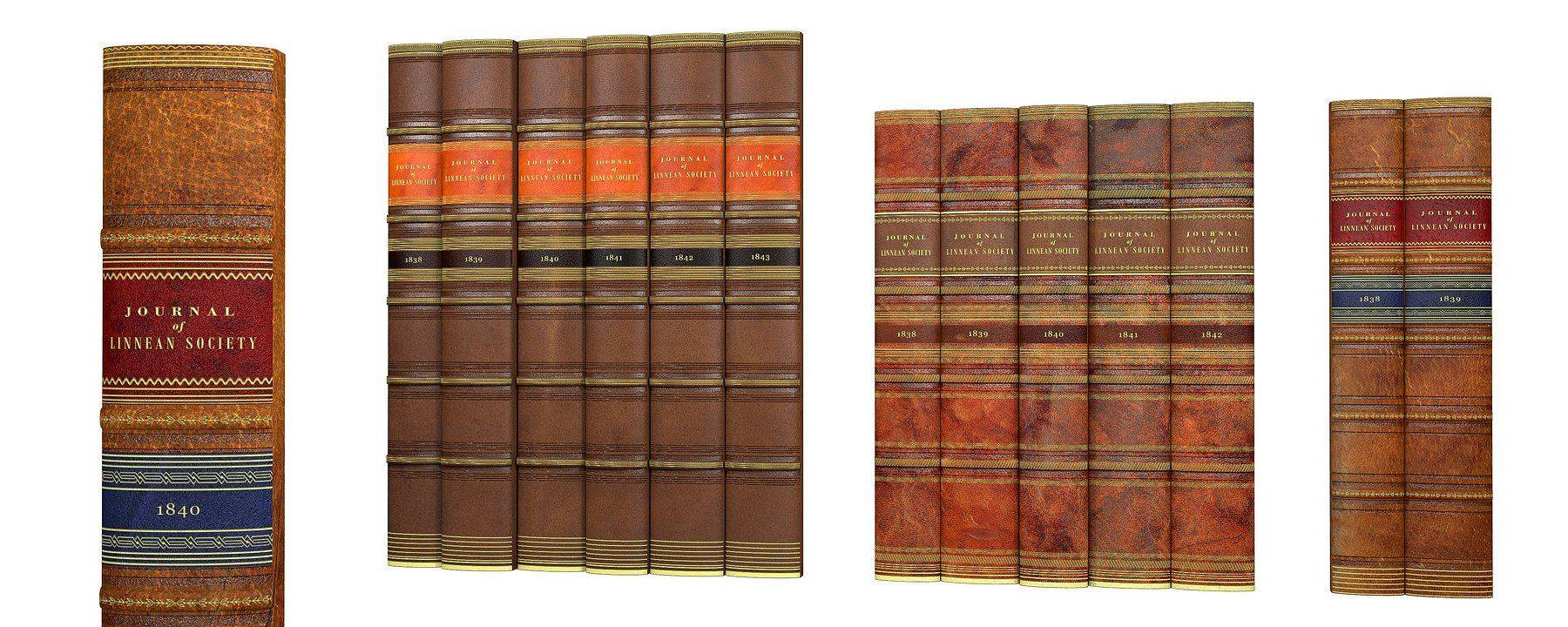 Buchrücken aus Leder