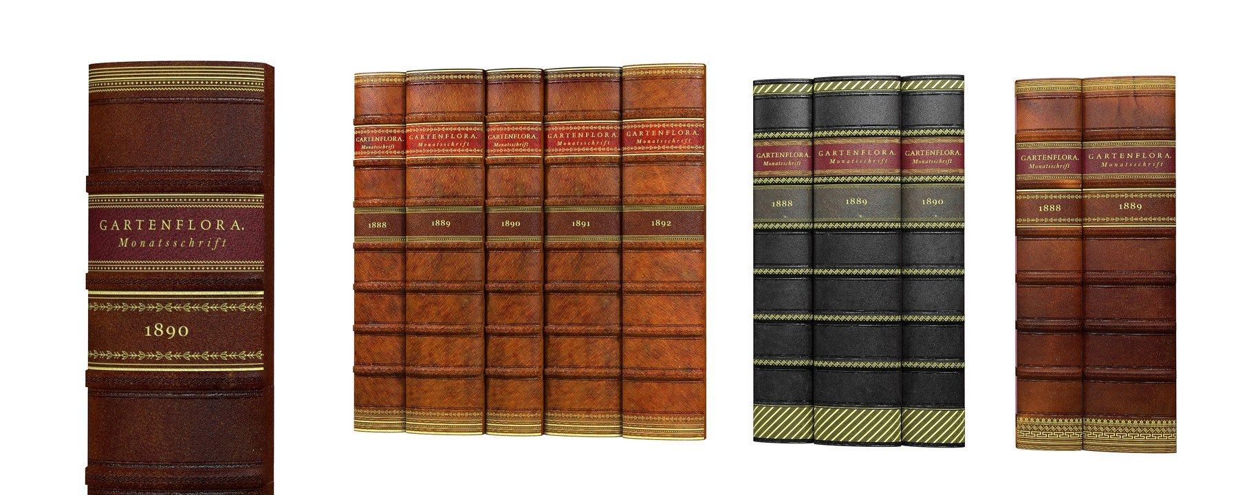 Buchrücken Lederordner