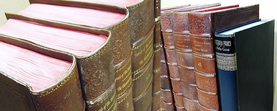 Buchrücken Buchattrappen - Beispiel