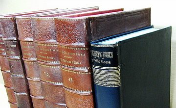 Book Spines old faux bookcase