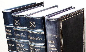 Book Spines old faux bookcase