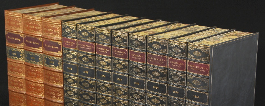 Buchrücken Buchattrappen