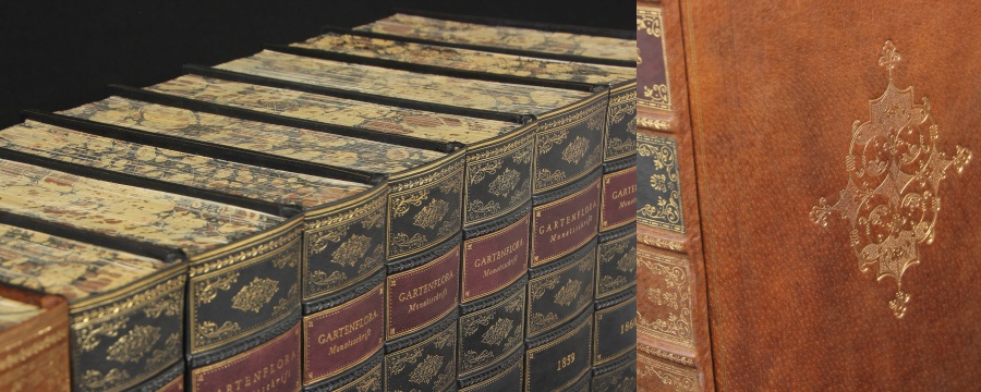 Buchrücken Buchattrappen